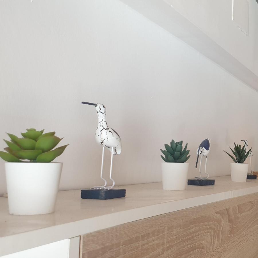 Espectacular Apartamento En La Isla De Tabarca Esterno foto